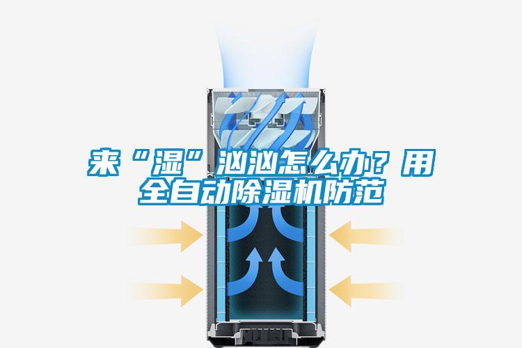 來“濕”洶洶怎么辦？用全自動除濕機(jī)防范