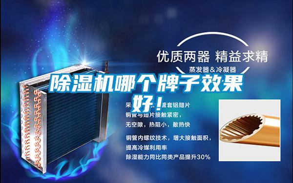 除濕機(jī)哪個牌子效果好！