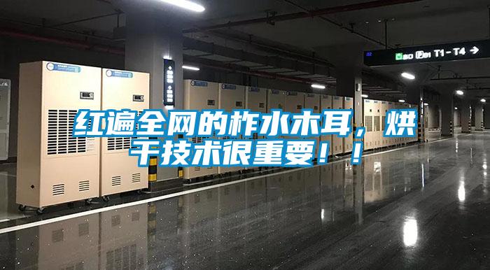 紅遍全網(wǎng)的柞水木耳，烘干技術(shù)很重要?。?/></p>
<p style=