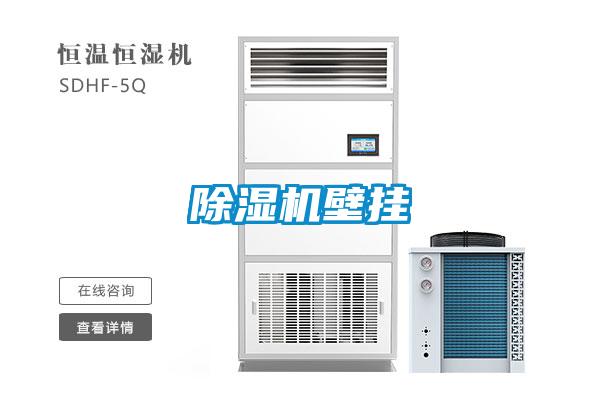 除濕機(jī)壁掛