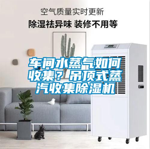 車間水蒸氣如何收集？吊頂式蒸汽收集除濕機