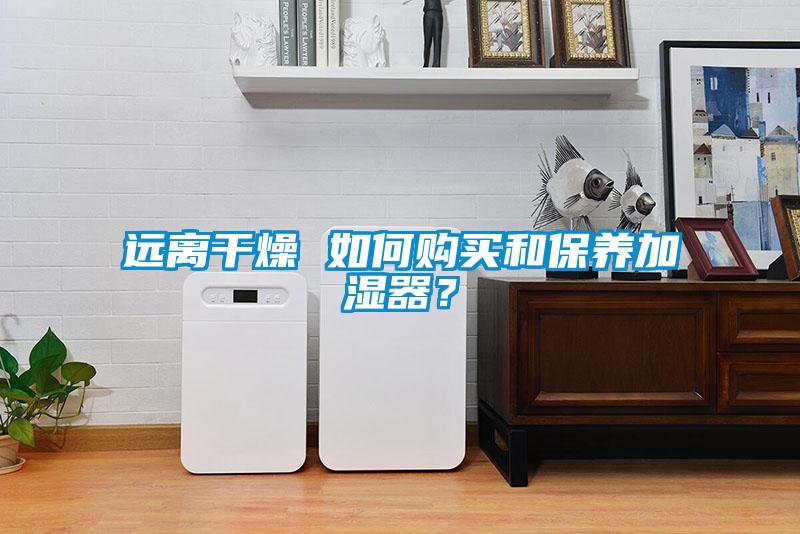 遠離干燥 如何購買和保養加濕器？