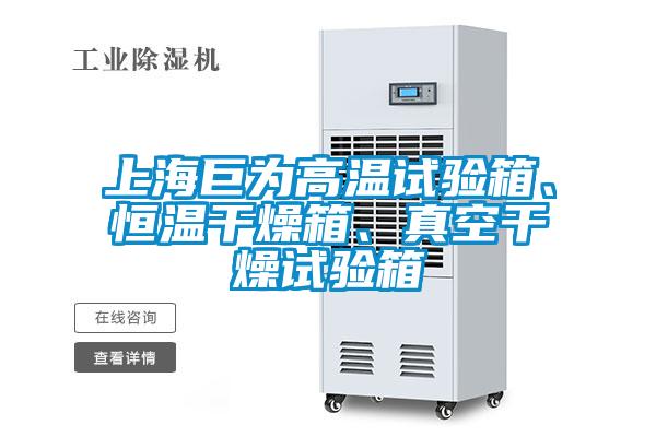 上海巨為高溫試驗(yàn)箱、恒溫干燥箱、真空干燥試驗(yàn)箱