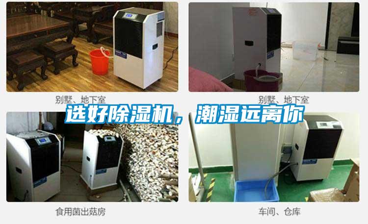 選好除濕機(jī)，潮濕遠(yuǎn)離你