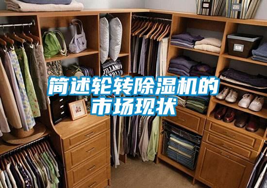 簡述輪轉除濕機的市場現狀