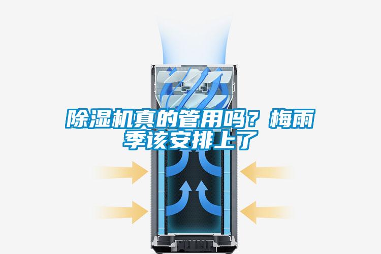 除濕機(jī)真的管用嗎？梅雨季該安排上了