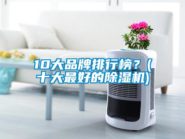 10大品牌排行榜？(十大最好的除濕機)