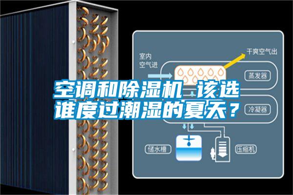 空調(diào)和除濕機(jī) 該選誰度過潮濕的夏天？