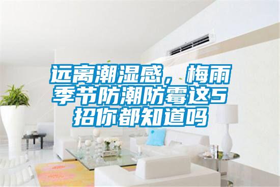 遠(yuǎn)離潮濕感，梅雨季節(jié)防潮防霉這5招你都知道嗎