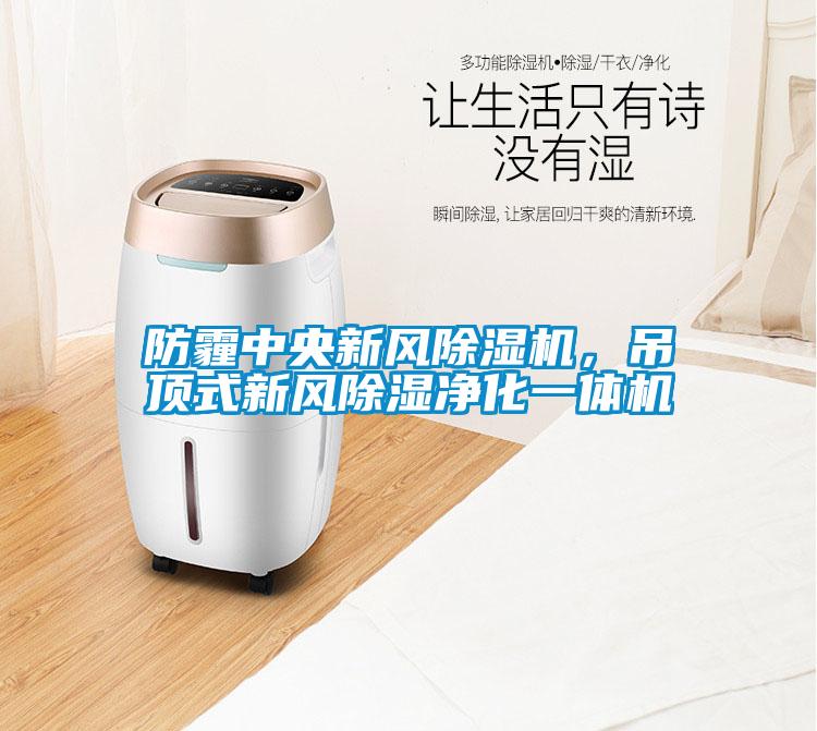 防霾中央新風(fēng)除濕機(jī)，吊頂式新風(fēng)除濕凈化一體機(jī)