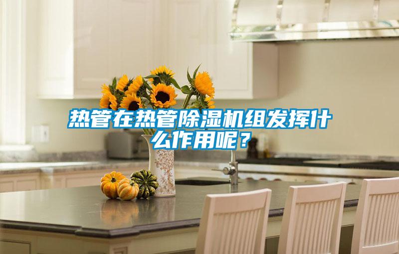 熱管在熱管除濕機(jī)組發(fā)揮什么作用呢？