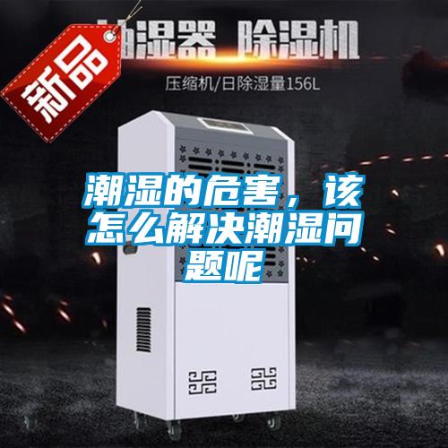 潮濕的危害，該怎么解決潮濕問題呢