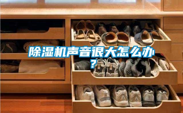 除濕機(jī)聲音很大怎么辦？