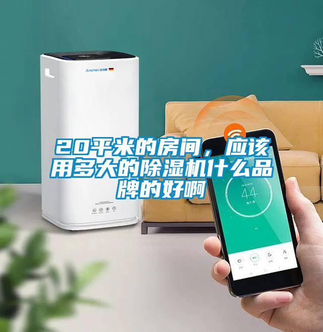 20平米的房間，應該用多大的除濕機什么品牌的好啊