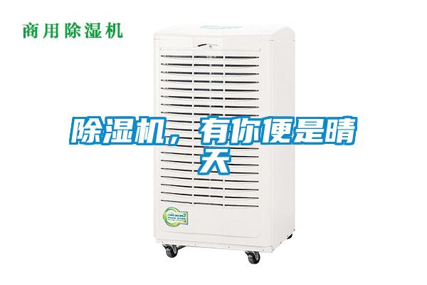 除濕機(jī)，有你便是晴天