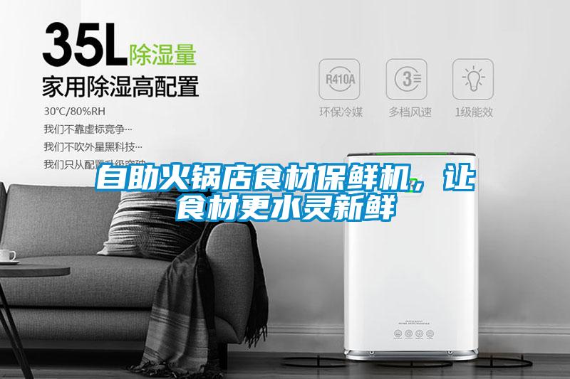 自助火鍋店食材保鮮機(jī)，讓食材更水靈新鮮