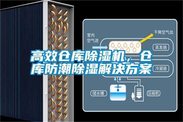 高效倉庫除濕機(jī)，倉庫防潮除濕解決方案