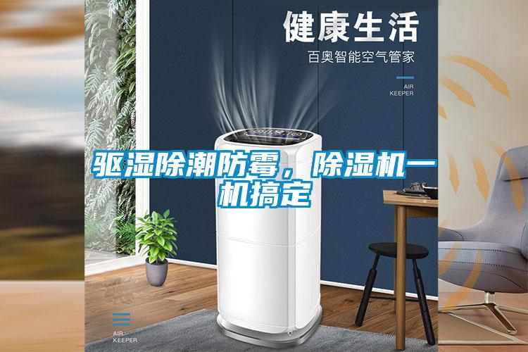驅(qū)濕除潮防霉，除濕機(jī)一機(jī)搞定