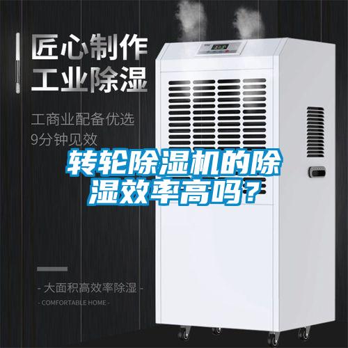 轉輪除濕機的除濕效率高嗎？