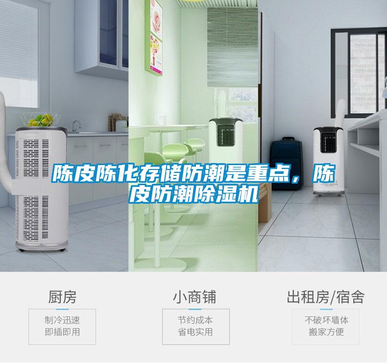 陳皮陳化存儲(chǔ)防潮是重點(diǎn)，陳皮防潮除濕機(jī)