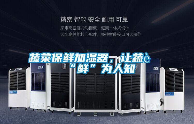 蔬菜保鮮加濕器，讓蔬菜“鮮”為人知