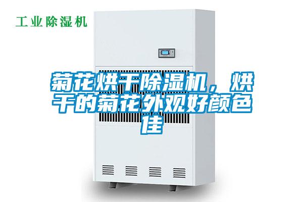 菊花烘干除濕機，烘干的菊花外觀好顏色佳