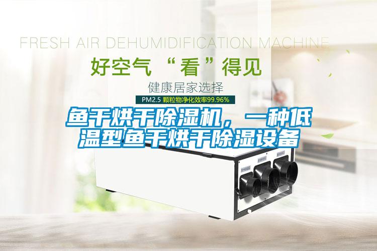 魚干烘干除濕機(jī)，一種低溫型魚干烘干除濕設(shè)備