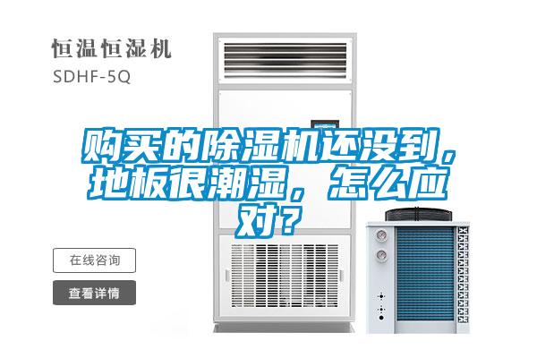 購(gòu)買的除濕機(jī)還沒(méi)到，地板很潮濕，怎么應(yīng)對(duì)？