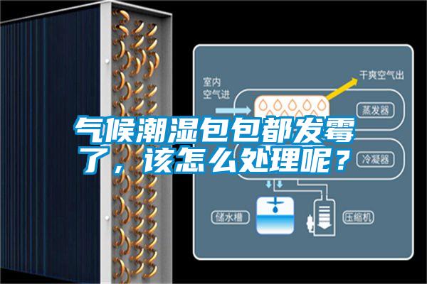 氣候潮濕包包都發(fā)霉了，該怎么處理呢？