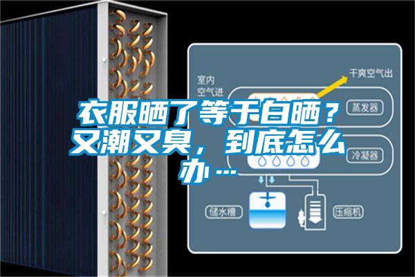 衣服曬了等于白曬？又潮又臭，到底怎么辦…