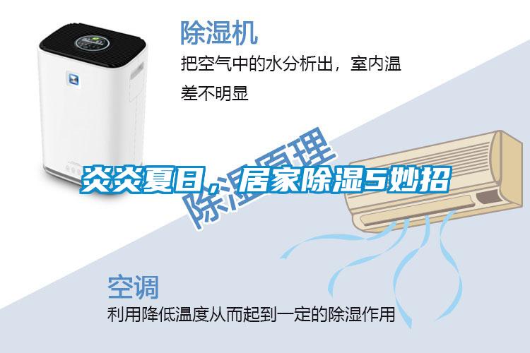 炎炎夏日，居家除濕5妙招