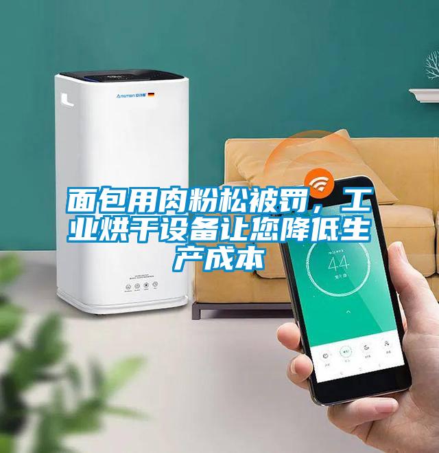 面包用肉粉松被罰，工業(yè)烘干設備讓您降低生產(chǎn)成本