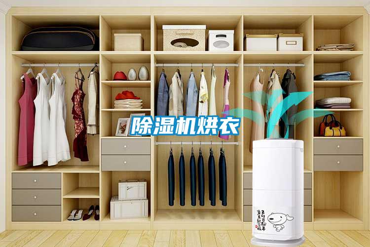 除濕機烘衣