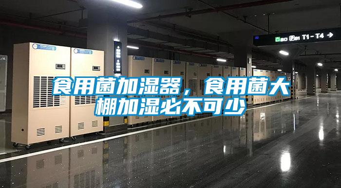 食用菌加濕器，食用菌大棚加濕必不可少
