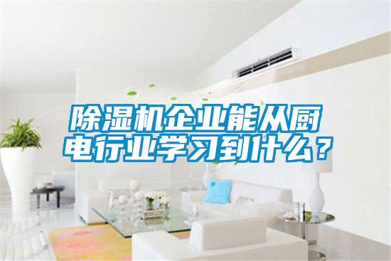 除濕機(jī)企業(yè)能從廚電行業(yè)學(xué)習(xí)到什么？