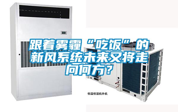 跟著霧霾“吃飯”的新風系統(tǒng)未來又將走向何方？