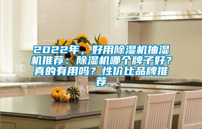 2022年，好用除濕機抽濕機推薦：除濕機哪個牌子好？真的有用嗎？性價比品牌推薦