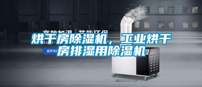 烘干房除濕機(jī)，工業(yè)烘干房排濕用除濕機(jī)