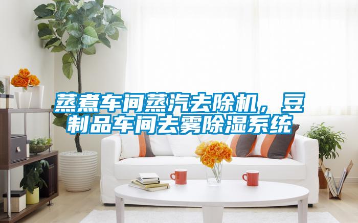 蒸煮車間蒸汽去除機(jī)，豆制品車間去霧除濕系統(tǒng)