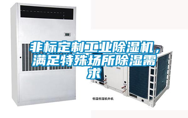 非標(biāo)定制工業(yè)除濕機(jī)，滿足特殊場(chǎng)所除濕需求