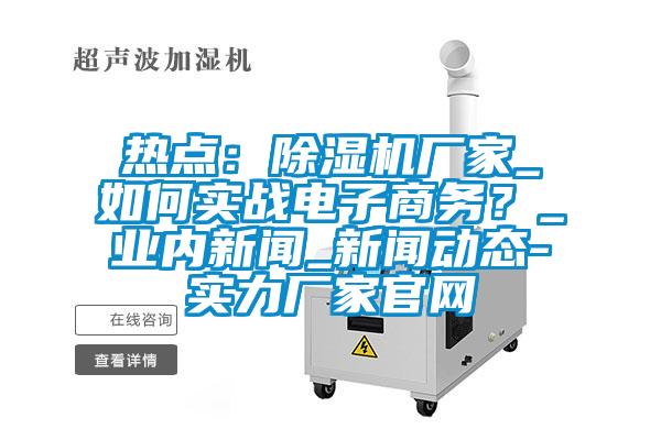 熱點：除濕機(jī)廠家_如何實戰(zhàn)電子商務(wù)？_業(yè)內(nèi)新聞_新聞動態(tài)-實力廠家官網(wǎng)