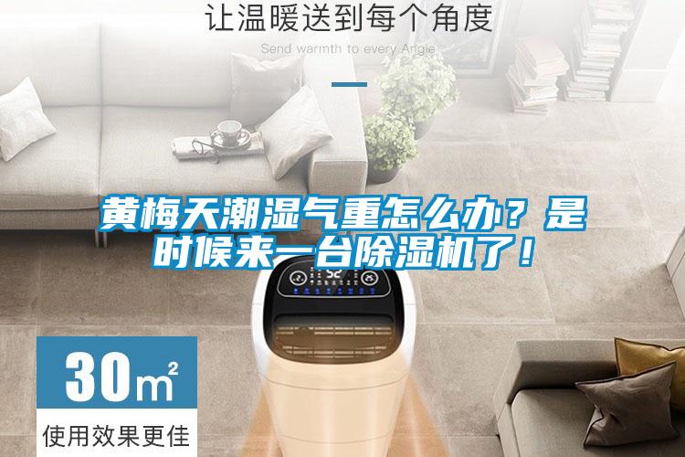 黃梅天潮濕氣重怎么辦？是時(shí)候來(lái)一臺(tái)除濕機(jī)了！