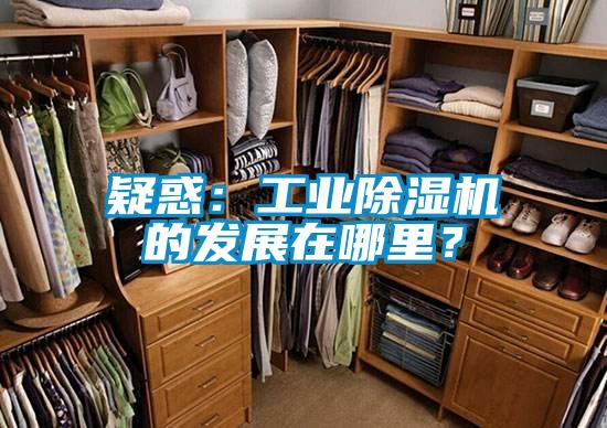 疑惑：工業(yè)除濕機(jī)的發(fā)展在哪里？