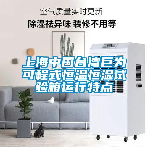 上海中國(guó)臺(tái)灣巨為可程式恒溫恒濕試驗(yàn)箱運(yùn)行特點(diǎn)