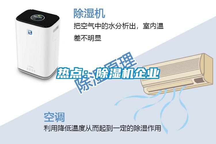 熱點：除濕機企業