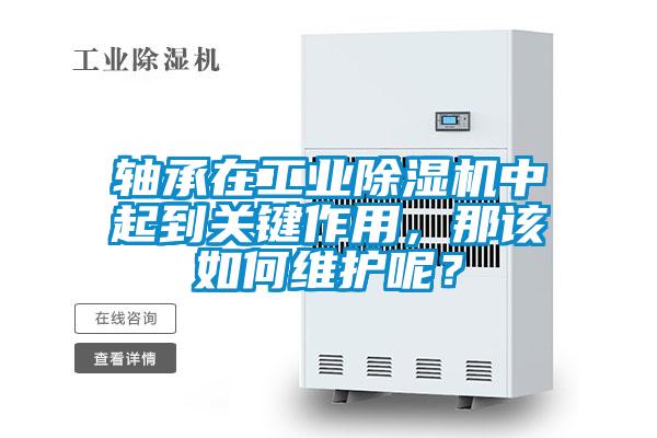 軸承在工業(yè)除濕機中起到關鍵作用，那該如何維護呢？