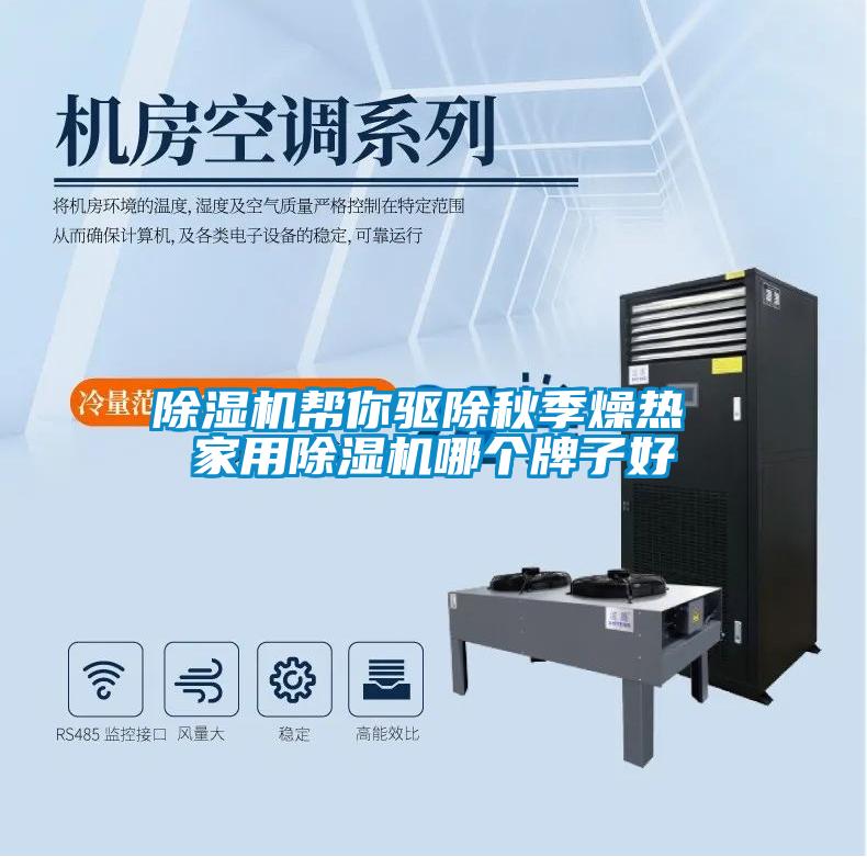 除濕機幫你驅除秋季燥熱 家用除濕機哪個牌子好