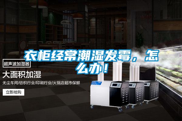 衣柜經常潮濕發霉，怎么辦！