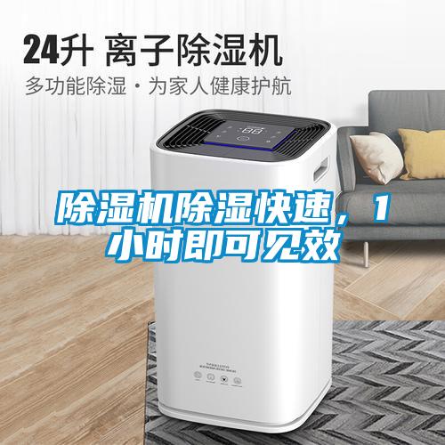 除濕機(jī)除濕快速，1小時即可見效