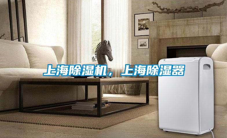 上海除濕機(jī)，上海除濕器